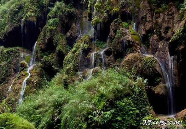 讳莫如深-冷知识分享平台,让你开启别样视角